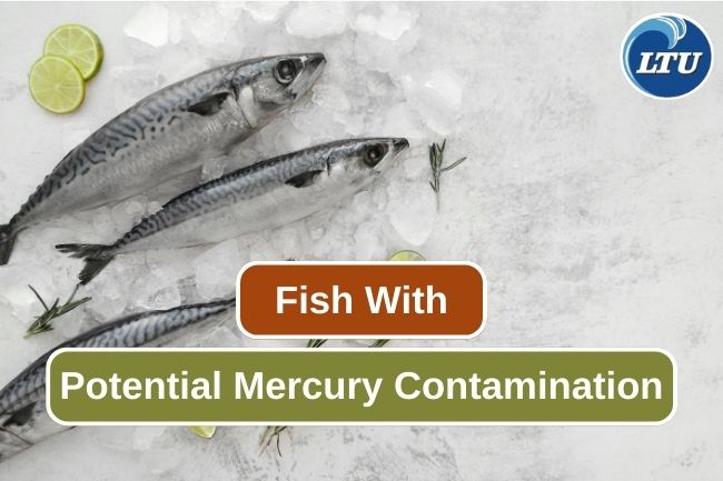 Mercury and Seafood: Making Informed Choices for Your Health